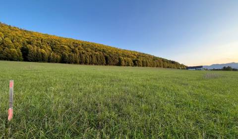 Prodej Pozemky - bydlení, Pozemky - bydlení, Žilina, Slovensko