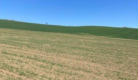 Prodej Zemědělské a lesní, Zemědělské a lesní, Ilava, Slovensko