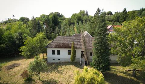 Prodej Chata, Chata, Hrubá Strana, Nové Mesto nad Váhom, Slovensko