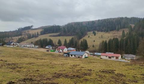 Prodej Pozemky - rekreace, Pozemky - rekreace, Snežnica, Kysucké Nové 