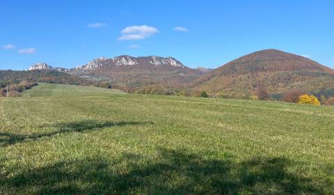 Prodej Pozemky - rekreace, Pozemky - rekreace, Pruské, Ilava, Slovensk