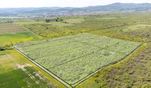 Prodej Pozemky - bydlení, Pozemky - bydlení, Dolná, Pezinok, Slovensko