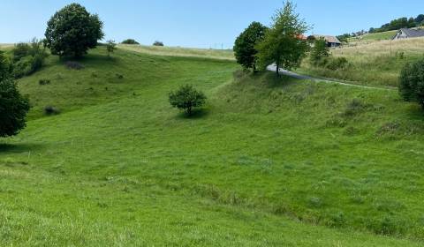 Prodej Pozemky - bydlení, Pozemky - bydlení, Detva, Slovensko