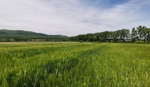 Prodej Pozemky - bydlení, Pozemky - bydlení, Stankovská, Vranov nad To