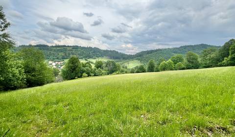 Prodej Pozemky - rekreace, Pozemky - rekreace, Dlhá nad Kysucou, Čadca