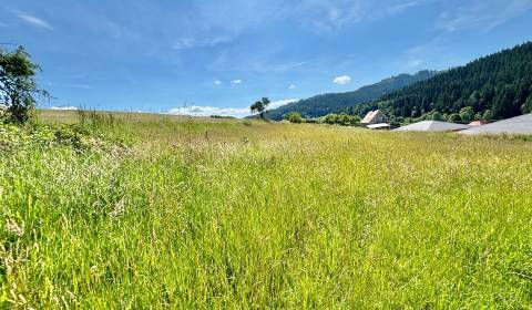 Prodej Pozemky - bydlení, Pozemky - bydlení, Korňanská cesta, Čadca, S