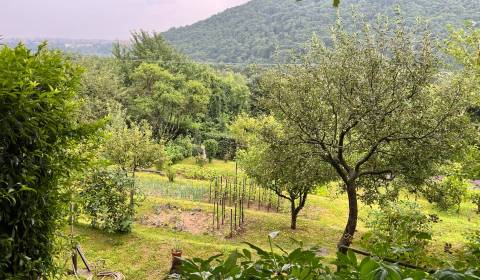 Prodej Zahrady, Zahrady, Brusnicová, Košice - Ťahanovce, Slovensko