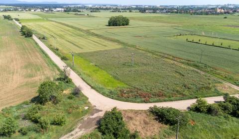 Prodej Pozemky - bydlení, Pozemky - bydlení, Športová, Senec, Slovensk