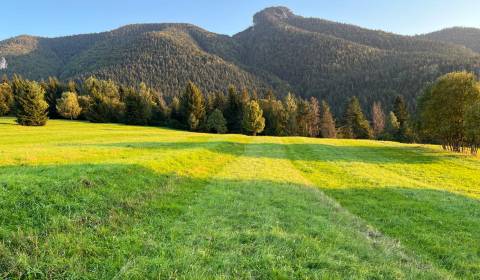 Prodej Zemědělské a lesní, Zemědělské a lesní, Žilina, Slovensko