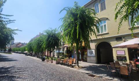 Prodej Byt 3+1, Byt 3+1, Mierové námestie, Trenčín, Slovensko