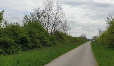 Prodej Zemědělské a lesní, Zemědělské a lesní, Pezinok, Slovensko