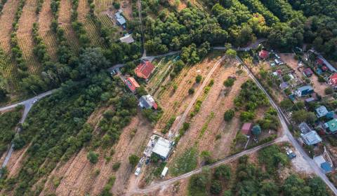 Prodej Vinice, Vinice, Horné Židiny, Bratislava - Nové Mesto, Slovensk