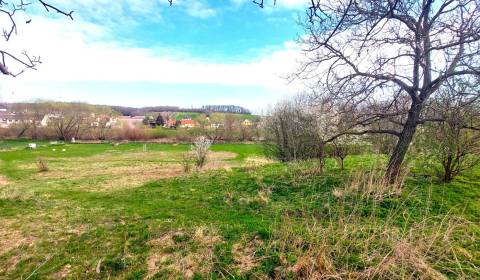 Prodej Pozemky - bydlení, Pozemky - bydlení, Neusiedl am See, Rakousko