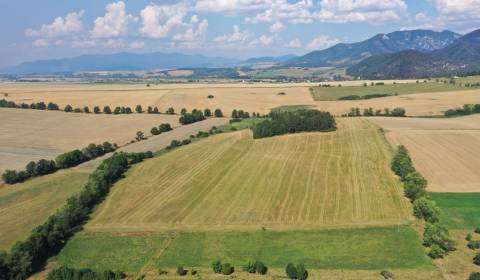 Prodej Zemědělské a lesní, Zemědělské a lesní, Mošovce, Turčianske Tep