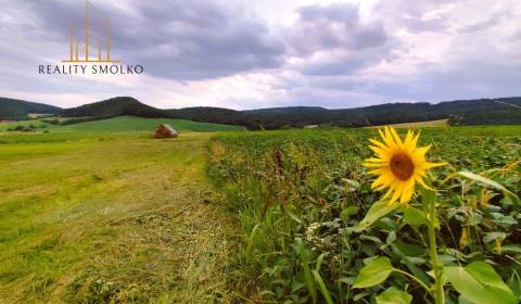 Prodej Zemědělské a lesní, Zemědělské a lesní, Sabinov, Slovensko