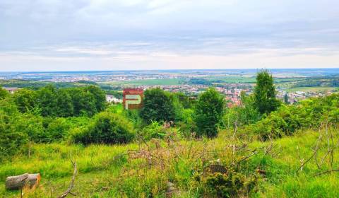 Prodej Pozemky - bydlení, Pozemky - bydlení, Pezinok, Slovensko