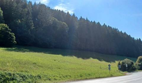 Prodej Zemědělské a lesní, Zemědělské a lesní, Považská Bystrica, Slov