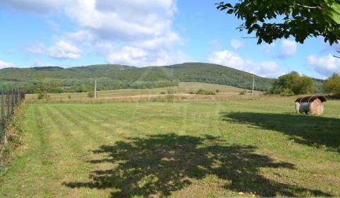 Prodej Zemědělské a lesní, Zemědělské a lesní, Bardejov, Slovensko