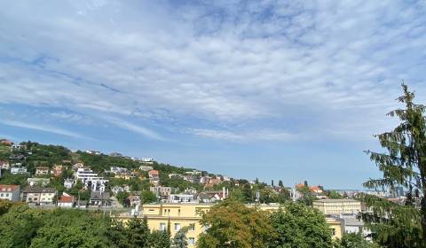 Pronájem Rodinný dům, Rodinný dům, Bratislava - Staré Mesto, Slovensko