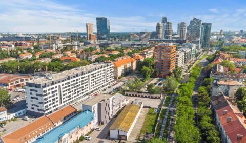 Pronájem Byt 3+1, Byt 3+1, Bazová, Bratislava - Ružinov, Slovensko