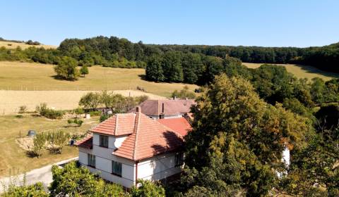 Prodej Rodinný dům, Rodinný dům, Chvojnica, Myjava, Slovensko