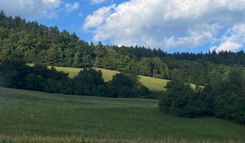 Prodej Pozemky - rekreace, Pozemky - rekreace, Mestečko, Púchov, Slove