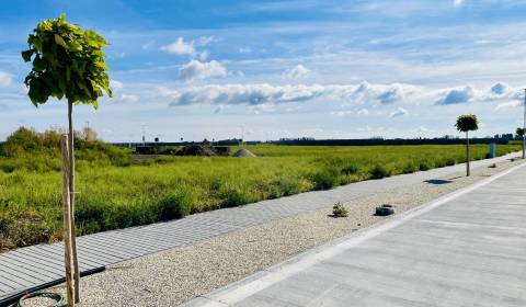 Prodej Pozemky - bydlení, Pozemky - bydlení, neuvedená, Dunajská Stred