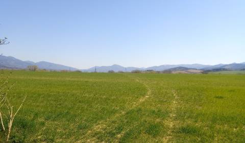 Prodej Pozemky - bydlení, Pozemky - bydlení, Martin, Slovensko