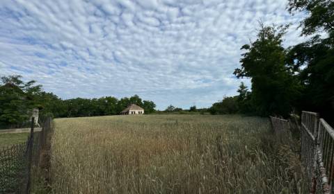 Prodej Pozemky - bydlení, Pozemky - bydlení, Nitra, Slovensko