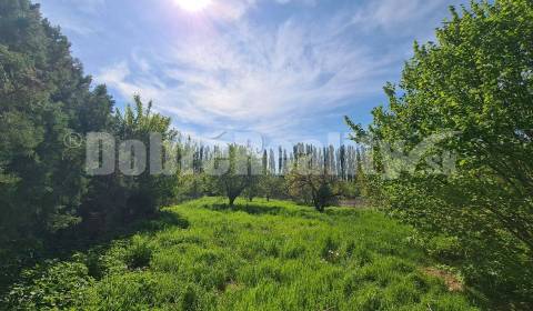 Prodej Pozemky - bydlení, Pozemky - bydlení, Nový rad, Šaľa, Slovensko