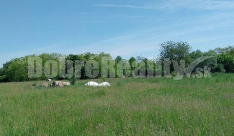 Prodej Pozemky - bydlení, Pozemky - bydlení, Vieska nad Žitavou, Zlaté