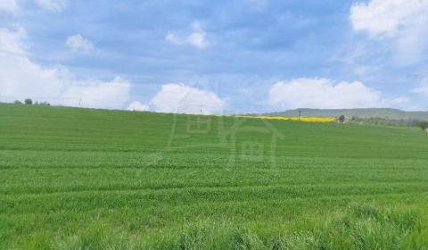 Prodej Zemědělské a lesní, Zemědělské a lesní, Veľký Krtíš, Slovensko