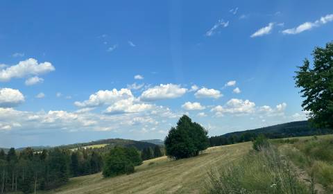 Prodej Pozemky - bydlení, Pozemky - bydlení, Nový Svet, Detva, Slovens