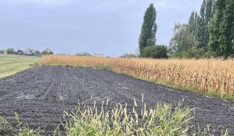 Prodej Pozemky - bydlení, Pozemky - bydlení, Dunajská Streda, Slovensk