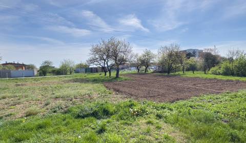 Prodej Zemědělské a lesní, Zemědělské a lesní, Grobská, Senec, Slovens