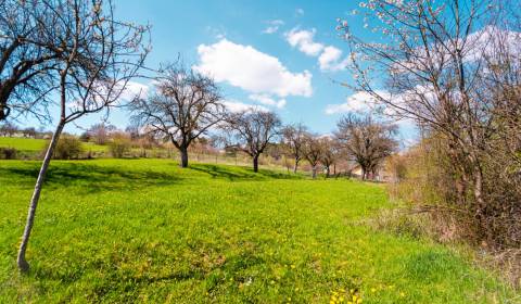 Prodej Pozemky - bydlení, Pozemky - bydlení, Kvašov, Púchov, Slovensko