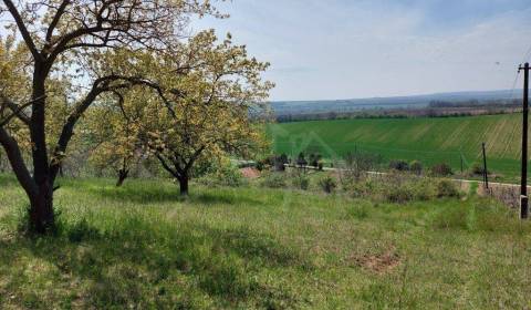 Prodej Zahrady, Zahrady, Nové Zámky, Slovensko