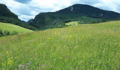 Prodej Zahrady, Zahrady, Považská Bystrica, Slovensko