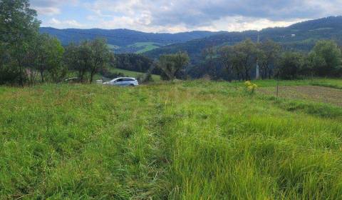 Prodej Zemědělské a lesní, Zemědělské a lesní, Púchov, Slovensko