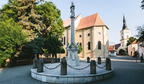 Pronájem Byt 2+1, Byt 2+1, Za hradbami, Pezinok, Slovensko