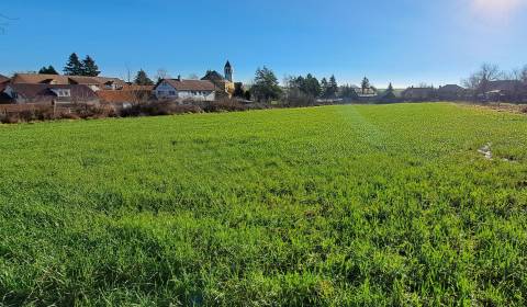 Prodej Pozemky - bydlení, Pozemky - bydlení, Gondovo, Levice, Slovensk