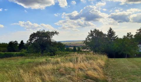 Prodej Pozemky - rekreace, Pozemky - rekreace, Horné Jabloňovce, Levic