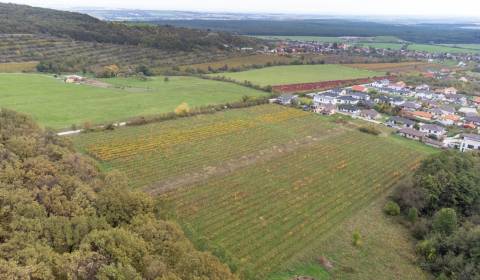 Prodej Zemědělské a lesní, Zemědělské a lesní, Novosadská, Pezinok, Sl