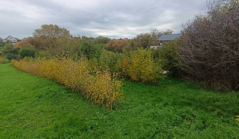 Prodej Pozemky - bydlení, Pozemky - bydlení, Tichá, Nitra, Slovensko