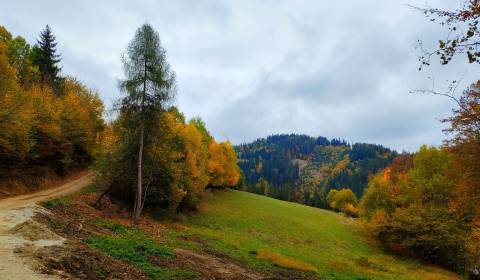 Prodej Pozemky - rekreace, Pozemky - rekreace, Veľké Rovné, Bytča, Slo