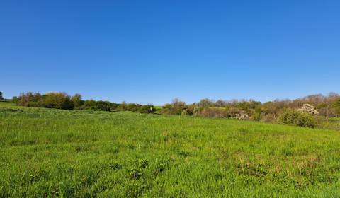 Prodej Pozemky - rekreace, Pozemky - rekreace, Dolné Žemberovce, Levic