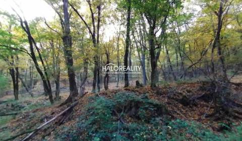 Prodej Pozemky - bydlení, Veľký Krtíš, Slovensko