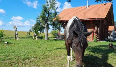 Prodej Chata, Chata, Krupina, Slovensko