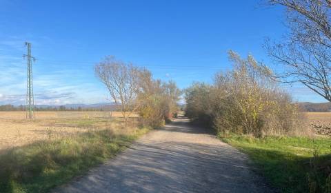 Prodej Pozemky - bydlení, Pozemky - bydlení, Hájniky, Zvolen, Slovensk