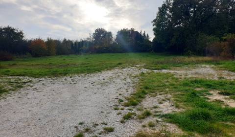 Prodej Pozemky - bydlení, Pozemky - bydlení, Mýtna, Nové Mesto nad Váh